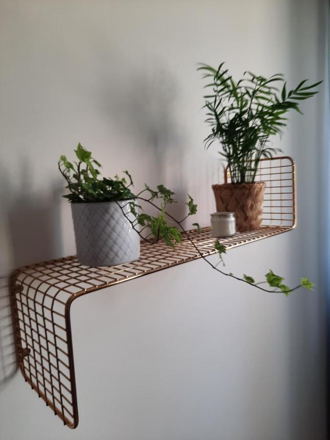 Apartament W Centrum Wroclawia Apartment